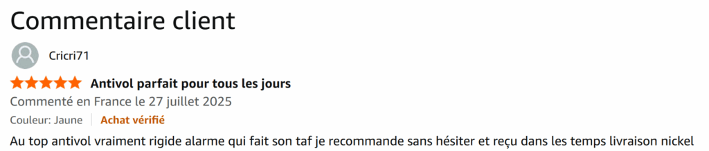 avis client sur l'antivol urban ur476y