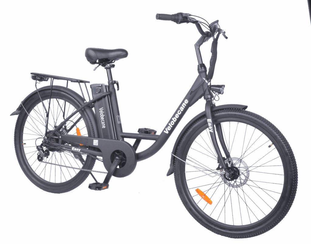 vue de profil du velobecane easy