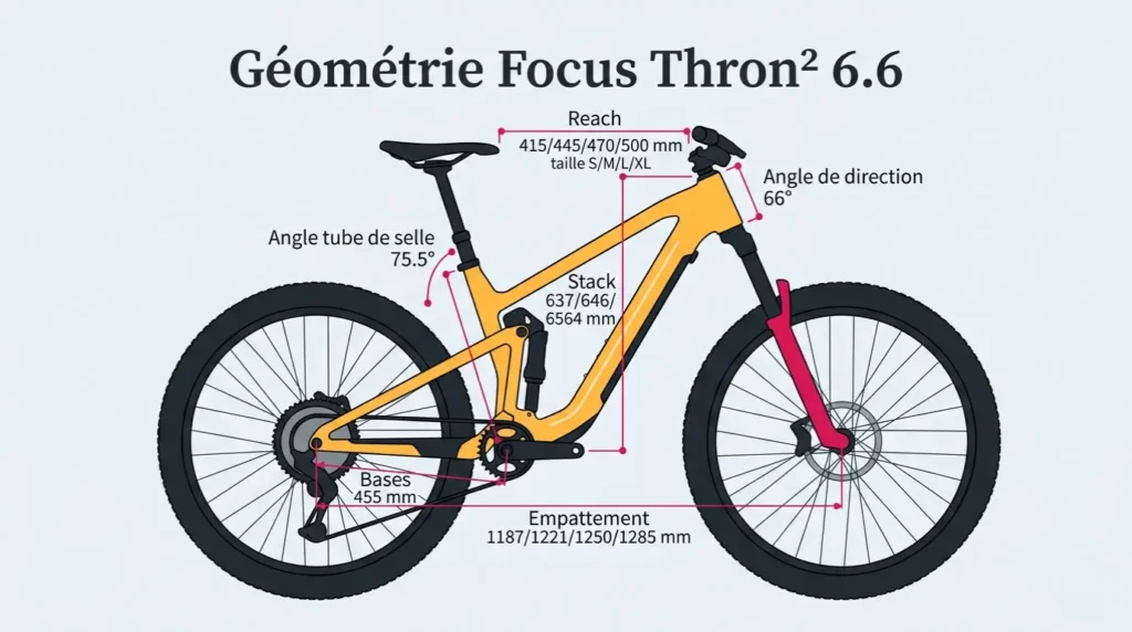 géométrie du focus thron²
